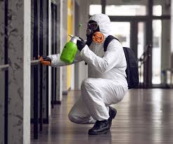 Why You Should Choose Our Mold Remediation Services in Vienna, VA